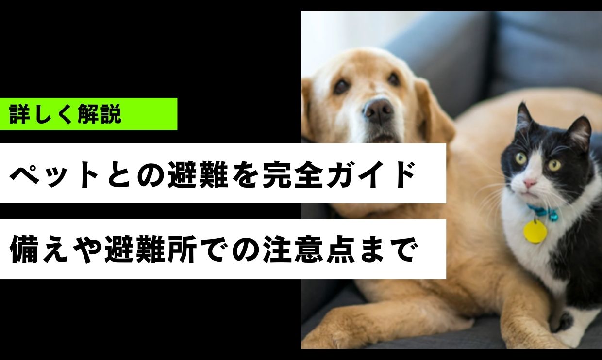 避難所でペットと離れ離れ？同行避難の落とし穴と「在宅避難」という選択